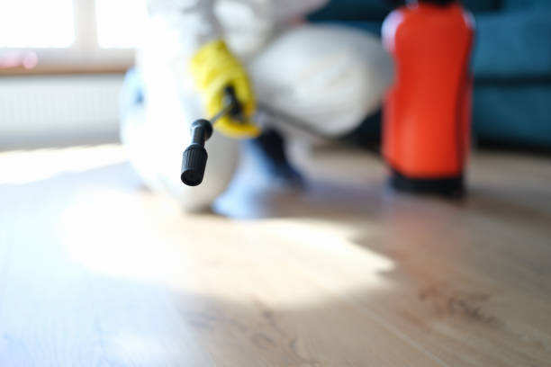 Dehumidification Services in North Judson, IN