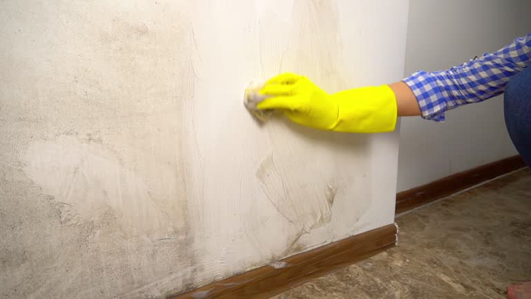 Mold Removal for HVAC Installations in North Judson, IN